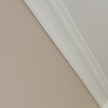 BİM'de Satılan Chef Seasons Burger & Patates Sosu Patladı