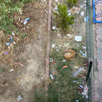 BİM Temizlik Ve Çöp