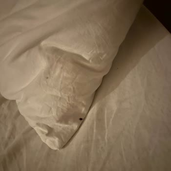 Eski Datça Pansiyon'da Hijyen Asla Yok