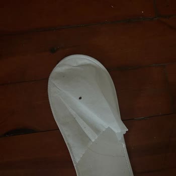 Eski Datça Pansiyon'da Hijyen Asla Yok