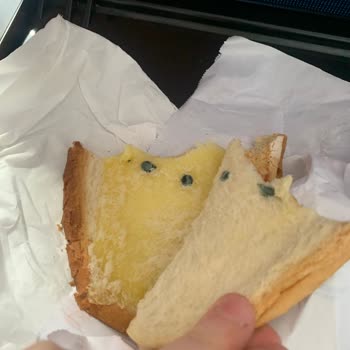 İdo Aldığım Tost Küflü Çıktı