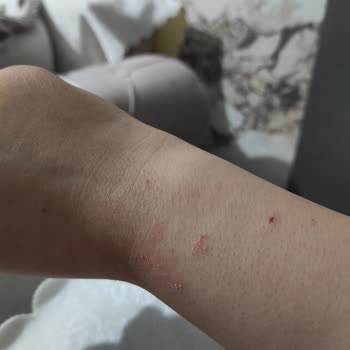A101 Yuvamı Bozdu Çocuk Ma Küfür Nahallede Herkese Kavga Ediyor