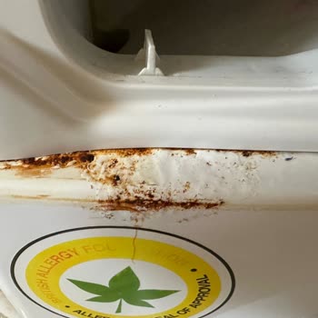 Vestel Çamaşır Makinesi Deterjan Kapağının Alt Bölgesinde Çürüme