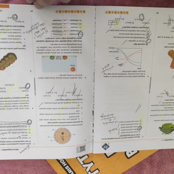 Trendyol Test Kitabı Kullanılmış Çıktı