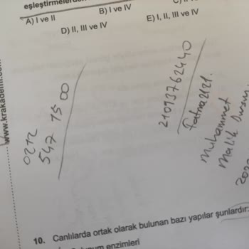 Trendyol Test Kitabı Kullanılmış Çıktı
