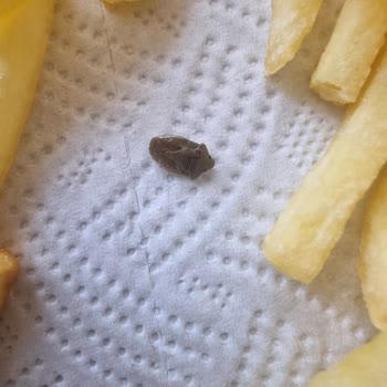 Burger King Yemek Siparişinde Böcek Çıkması