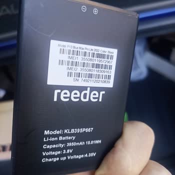 Reeder Müşteri Hizmeti Oyunu