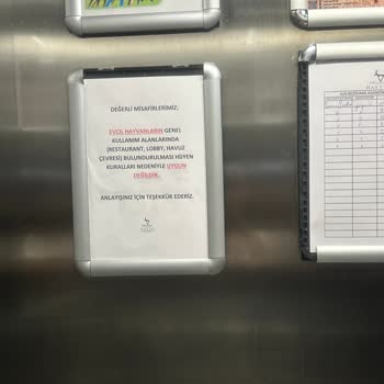 Hattuşa Vacation Thermal Club Havuz Kenarı Tedbirsizliği Kurallara Uyulmaması