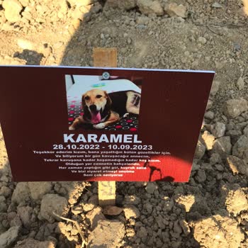 Karadeniz Veteriner Kliniği Evladım Ellerinde Öldü!