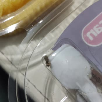 Peysan Peynir Helvasında Böcek Çıktı