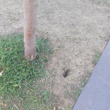 İstanbul Tozkoparan 1. Etap Emlak Konut Şikayet