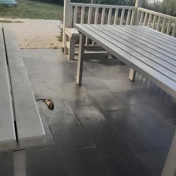 İstanbul Tozkoparan 1. Etap Emlak Konut Şikayet