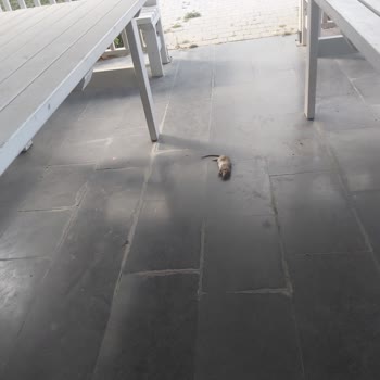 İstanbul Tozkoparan 1. Etap Emlak Konut Şikayet