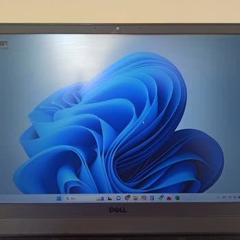 Dell Ekran Kasa Hatası