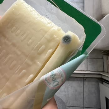 Sütaş Marka Peynir Küflü Çıktı