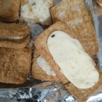 Ülker Böcekli Bisküvi Kreması