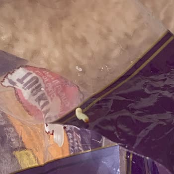 Reis Gıda Reis Osmancık Pirinç İçinden Kurt Çıktı