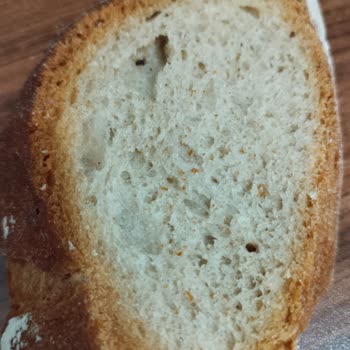 Topaloğlu Unlu Mamülleri Ekmeğin İçinden Böcek Çıkması