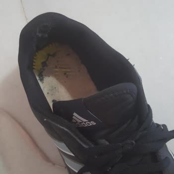 Sportive Ürün Garantisini Önemsemiyor