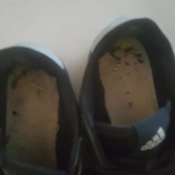 Sportive Ürün Garantisini Önemsemiyor