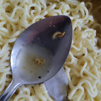 İndomie Noodle İçinde Kurt Çıktı