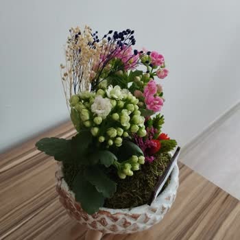 Palace Roses Sipariş Ettiğim Üründen Farklı Bir Ürün Gönderilmiş.