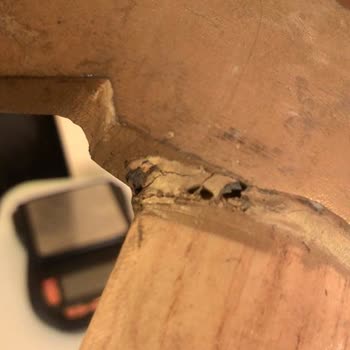 Çiçek Sepeti Extra Sipariş Edilen Ürünün Gelmemesi