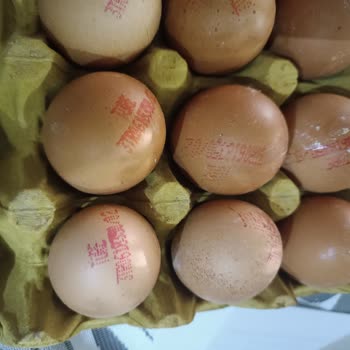Çağdaş Marketler Aldığım Yumurtaların Kalitesi