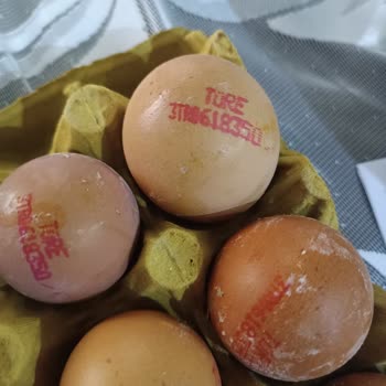 Çağdaş Marketler Aldığım Yumurtaların Kalitesi