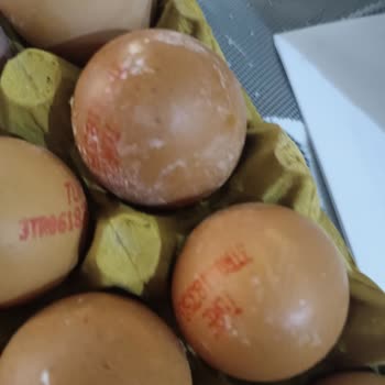 Çağdaş Marketler Aldığım Yumurtaların Kalitesi