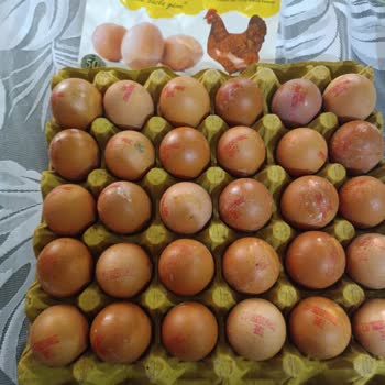 Türe Yumurta Çağdaş Market'ten Aldığım Yumurtalarda Sorun