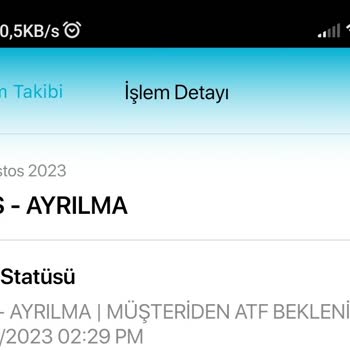 Türkiye Hayat Emeklilik BES İptali Maili Gelmiyor