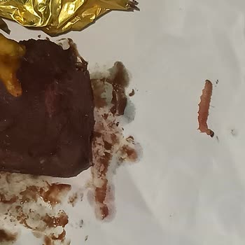 Eti Gıda Eti Antep Fıstıklı Sütlü Çikolatadan Kurt Çıktı