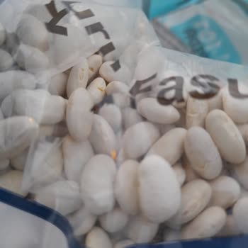 A101 Haksızlık, Kalitesizlik Zamanım Çöp