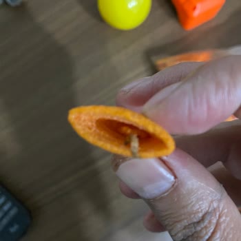 Halktan Kuruyemiş Ürünlerde Kurtlanma Ve Son Kullanma Tarihleri Geçmiş Ürünler Satılıyor