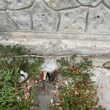 ADM Elektrik Dağıtım Şebeke Bağlantı Hatası