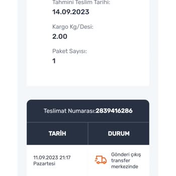 Sürat Kargo Değil Kaplumbağa Kargo