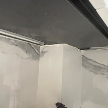 Vanucci Mutfağın Yaptığı Son Derece Kotu İsçilik