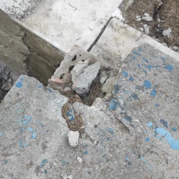 Adana Büyük Şehir Belediyesi Asrı Mezarlığı Harabe...