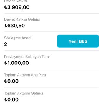 Türkiye Hayat Emeklilik Provizyonda Bekleyen Tutar Hesabıma Geçmeyen Tutar