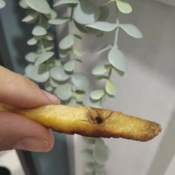 Sinekli Superfresh Patates Leziz!