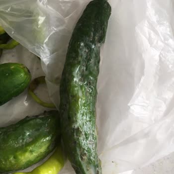 Arçelik Buzdolabı Soğutmuyor Servis Sorunumuzu Çözmüyor