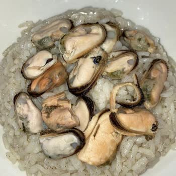 Balık Dünyası Kötü Bir Durum