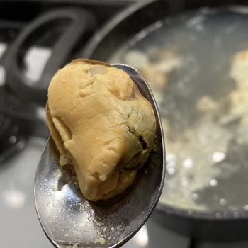 Balık Dünyası Kötü Bir Durum