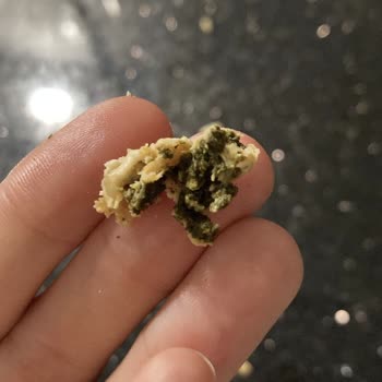 Balık Dünyası Kötü Bir Durum