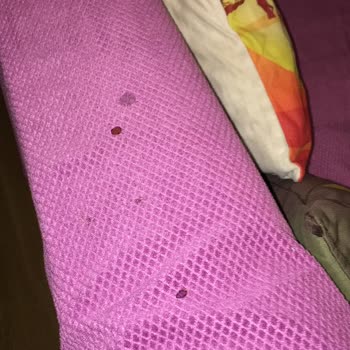 Jolly Tur Faciası: Odada Kötü Sürprizler, Tam Bir Hayal Kırıklığı!