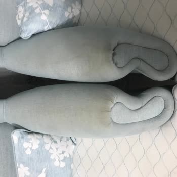 Gala Mobilya Koltuk Takımım Kendi Kendine Sarardı Ve Karardı