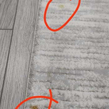 Gül Halı Yıkama (Ankara) Gül Halı Yıkama Çok Kötü Vermeyin