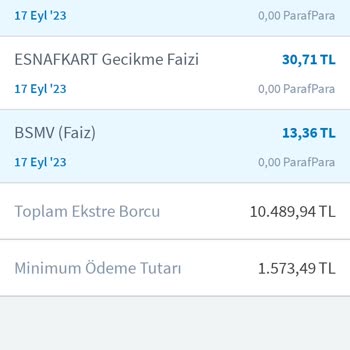 Halkbank BSMV Faiz Yüksek Haksız Kazanç