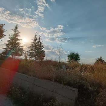 Hekimhan Belediyesi Mezarlık